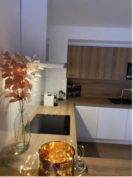 Apartament Le Doux Meleze Saint-Chaffrey Zewnętrze zdjęcie